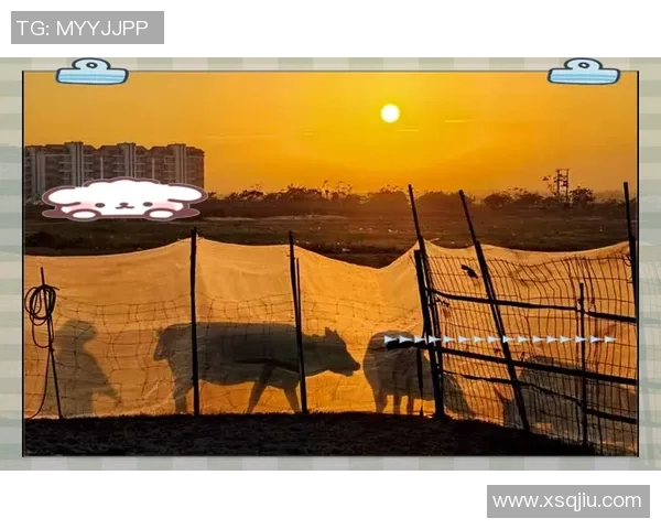 足球巨星线条素描艺术展示：捕捉瞬间灵动与激情的完美结合